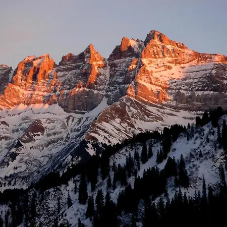 Soleil By Mrs Miggins *